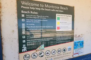 4250 N Marine Dr, Chicago, IL 60613 - Photo 31