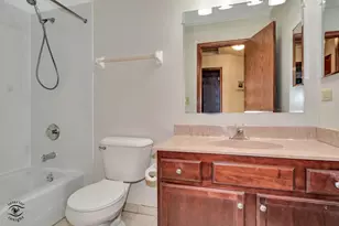 18154 Bettenhausen Dr, Tinley Park, IL 60487 - Photo 21