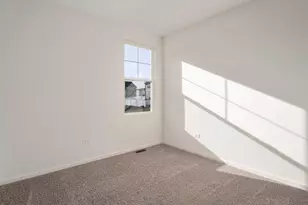 1243 Tiger Lily Dr, Bartlett, IL 60103 - Photo 19