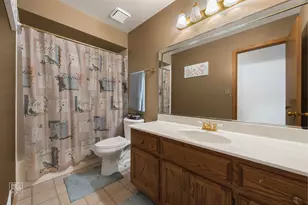 8313 Aster Ln, Tinley Park, IL 60477 - Photo 25