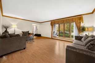 8313 Aster Ln, Tinley Park, IL 60477 - Photo 3