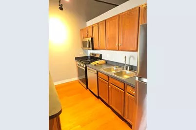 811 W 15th Place #703, Chicago, IL 60608 - Photo 19