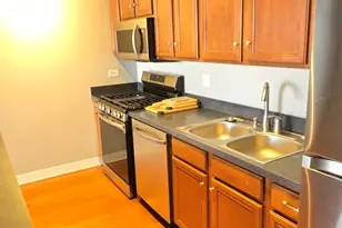 811 W 15th Pl, Chicago, IL 60608 - Photo 19