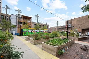 4633 N Winthrop Ave, Chicago, IL 60640 - Photo 31