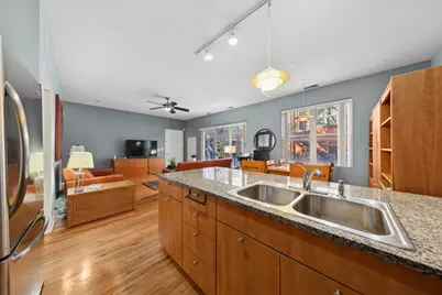 347 E 25th Place #1E, Chicago, IL 60616 - Photo 11