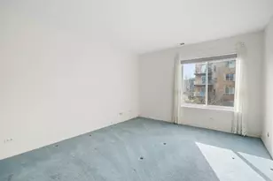 909 E Kenilworth Ave, Palatine, IL 60074 - Photo 11