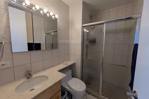 720 W Gordon Terrace, Chicago, IL 60613 - Photo 21