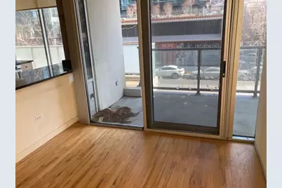 1720 S Michigan Avenue #208, Chicago, IL 60616 - Photo 5