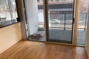 1720 S Michigan Ave, Chicago, IL 60616 - Photo 5