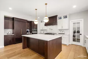 4207 Carpenter Rd, Naperville, IL 60564 - Photo 9