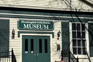 110 Day St, Bloomingdale, IL 60108 - Photo 35