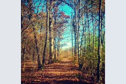 110 Day Street #101, Bloomingdale, IL 60108 - Photo 33