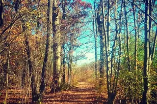 110 Day St, Bloomingdale, IL 60108 - Photo 33