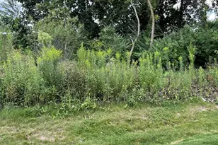 1173 Sonoma Ct, Pingree Grove, IL 60140 - Photo 27