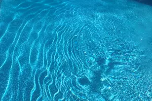 18655 Oakwood Ave, Lansing, IL 60438 - Photo 53