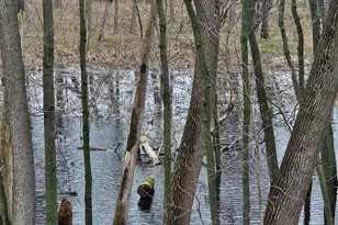 3700 Woodland Ln, Downers Grove, IL 60515 - Photo 35