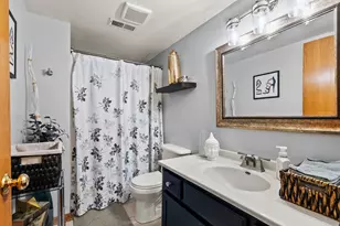 22380 Karlov Ave, Richton Park, IL 60471 - Photo 11