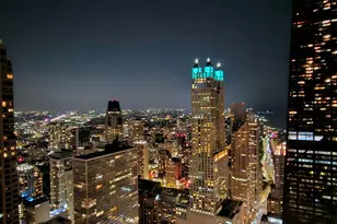 161 E Chicago Ave, Chicago, IL 60611 - Photo 13