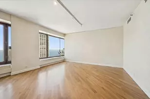 161 E Chicago Ave, Chicago, IL 60611 - Photo 9