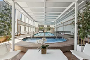 161 E Chicago Ave, Chicago, IL 60611 - Photo 33