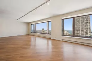 161 E Chicago Ave, Chicago, IL 60611 - Photo 5