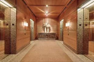 161 E Chicago Ave, Chicago, IL 60611 - Photo 37