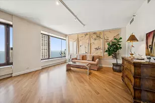 161 E Chicago Ave, Chicago, IL 60611 - Photo 9