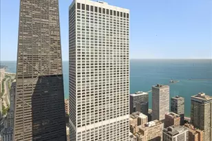 161 E Chicago Ave, Chicago, IL 60611 - Photo 11