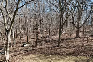 97 Crooked Creek Dr, Yorkville, IL 60560 - Photo 3