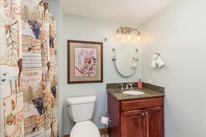 2935 Cottonwood Lane, Marseilles, IL 61341 - Photo 33