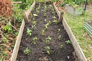 343 Evans Ave, Aurora, IL 60505 - Photo 27