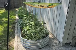 343 Evans Ave, Aurora, IL 60505 - Photo 29