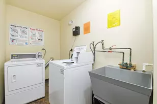 9803 Bianco Terrace, Des Plaines, IL 60016 - Photo 13