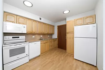 9803 Bianco Terrace #D, Des Plaines, IL 60016 - Photo 5