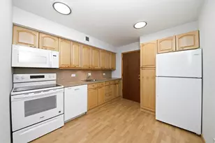 9803 Bianco Terrace, Des Plaines, IL 60016 - Photo 5