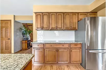 20224 E Lismore Circle, Frankfort, IL 60423 - Photo 19