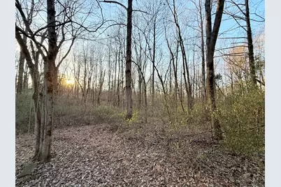 215 Tucker Hill Road, Cave In Rock, IL 62919 - Photo 5