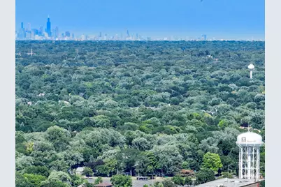 107 S Webster Street, Naperville, IL 60540 - Photo 39