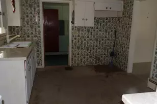 107 Charles St, Rosiclare, IL 62982 - Photo 7