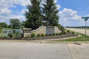 42 Olympus Dr, Tinley Park, IL 60477 - Photo 37