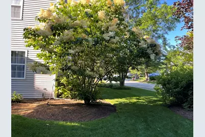 204 N Crooked Lake Lane, Lindenhurst, IL 60046 - Photo 35