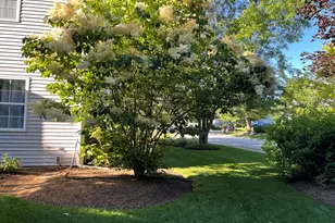 204 N Crooked Lake Ln, Lindenhurst, IL 60046 - Photo 35