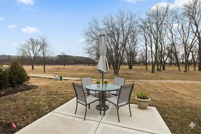 44 Olympus Drive, Tinley Park, IL 60477 - Photo 37