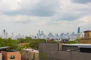 1728 N Damen Ave, Chicago, IL 60647 - Photo 9