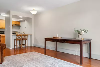 1001 N Mill Street #302, Naperville, IL 60563 - Photo 7