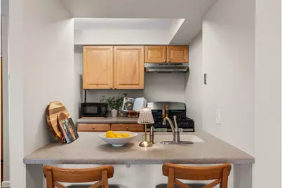 1001 N Mill Street #302, Naperville, IL 60563 - Photo 11