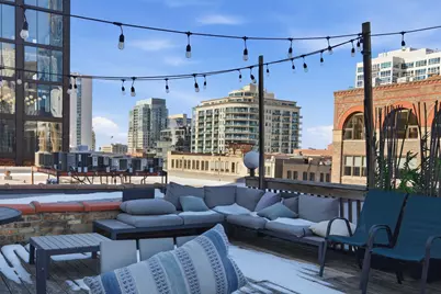 225 W Huron Street #313, Chicago, IL 60654 - Photo 23