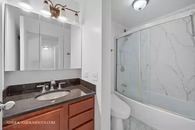 222 E Pearson Street #1406, Chicago, IL 60611 - Photo 13