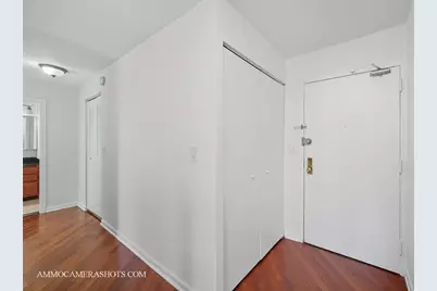 222 E Pearson Street #1406, Chicago, IL 60611 - Photo 19