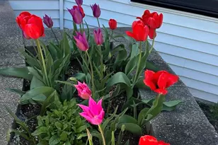 1948 Barrington Ct, Aurora, IL 60503 - Photo 43